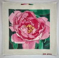 Peony
