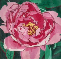 Peony

