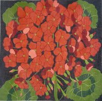 Giant Geranium
