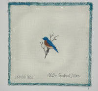 Little Bird
