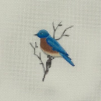 Little Bird

