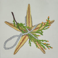 Starfish

