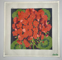 Giant Geranium

