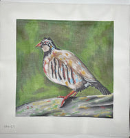 Pursell Bird
