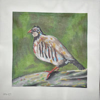 Pursell Bird