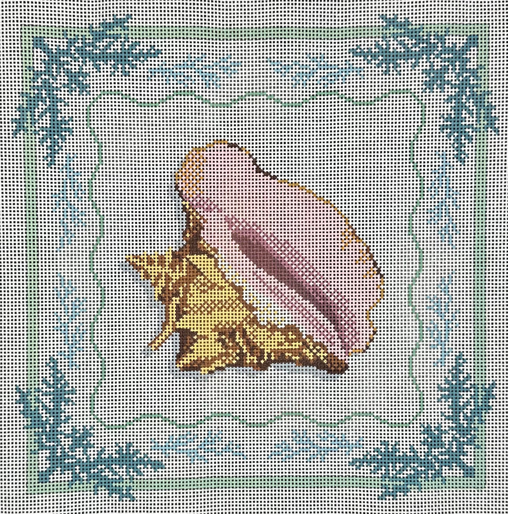 Conch with Seaweed Border