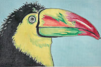 Toucan
