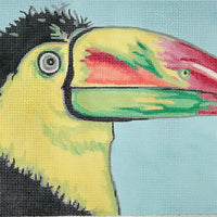 Toucan