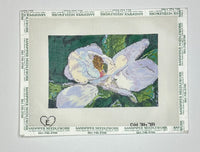 Magnolia

