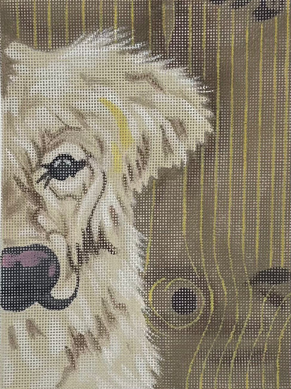 Golden Lab