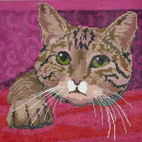 Tiger Cat Medium