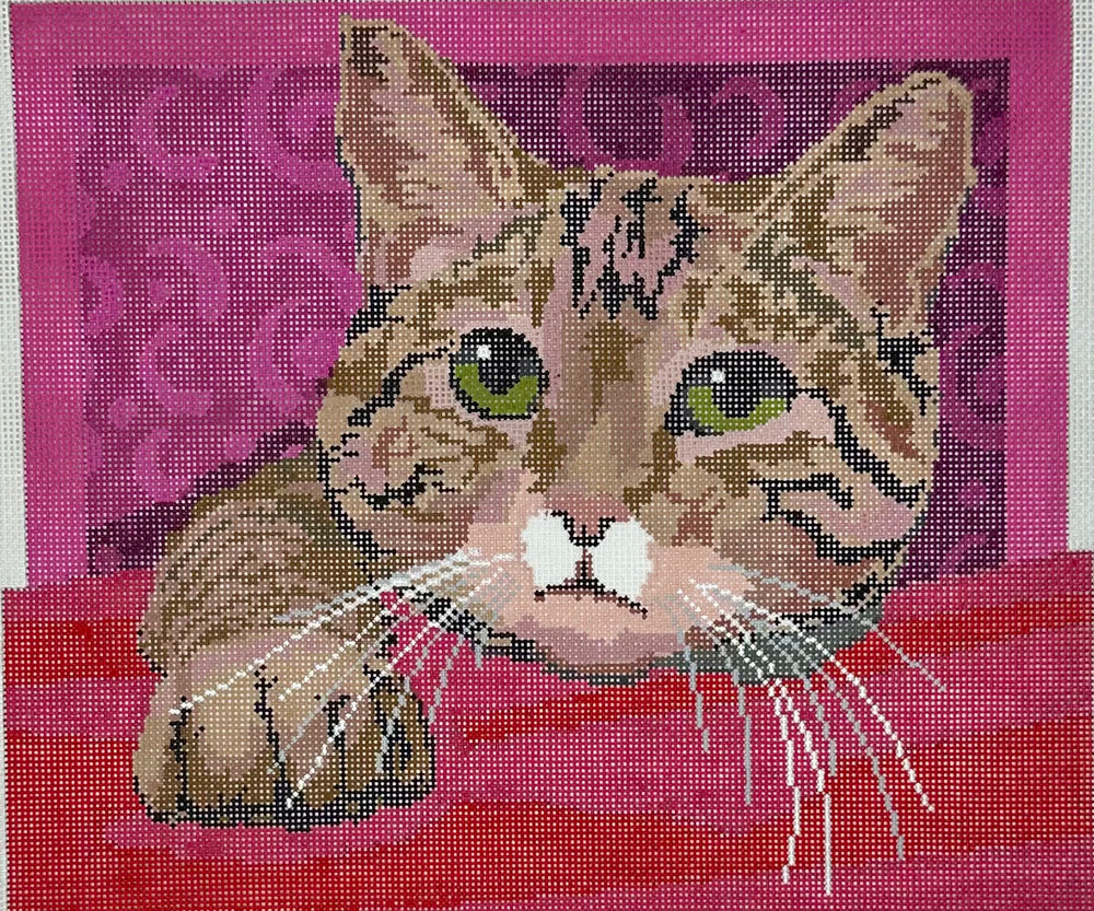 Tiger Cat Medium