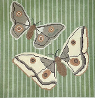 Butterfly Flight
