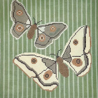 Butterfly Flight