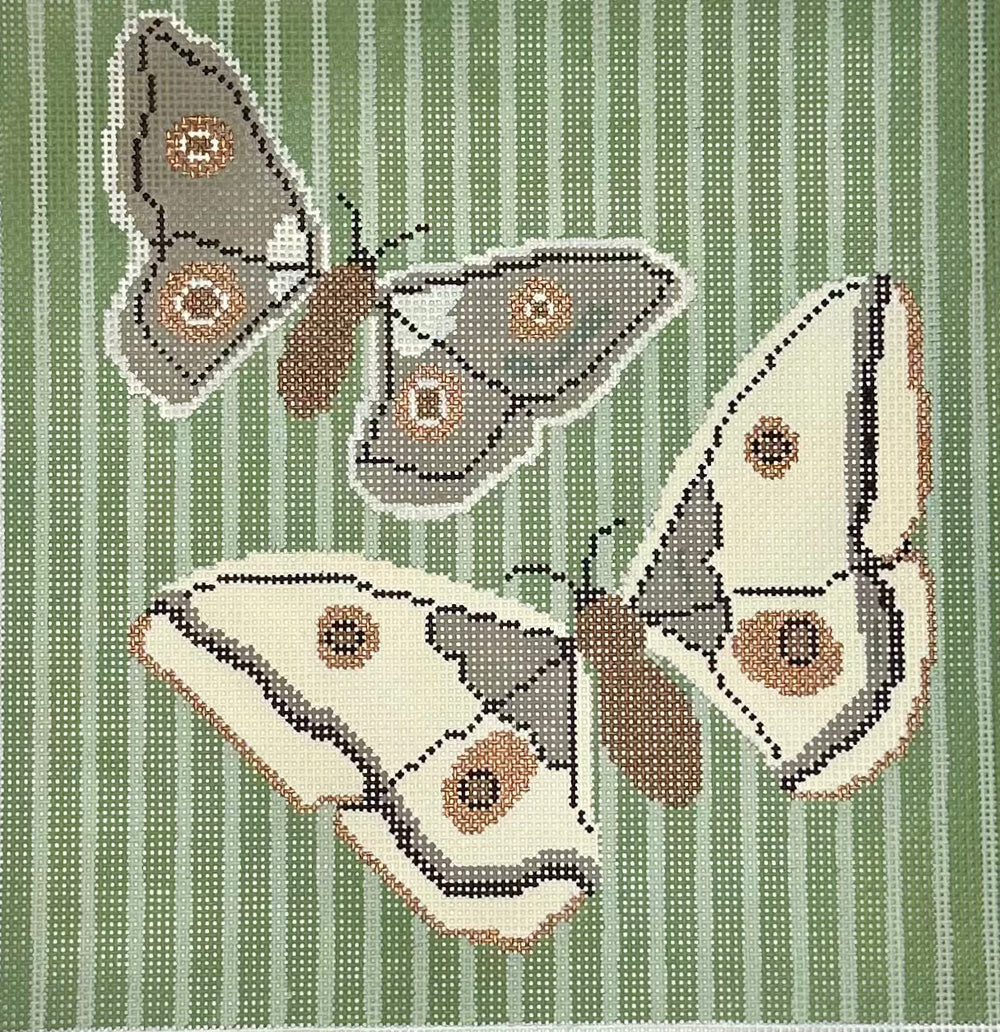 Butterfly Flight