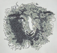 Pursell Sheep
