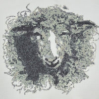 Pursell Sheep