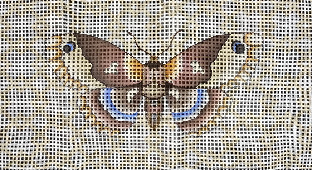 Moth with Geo