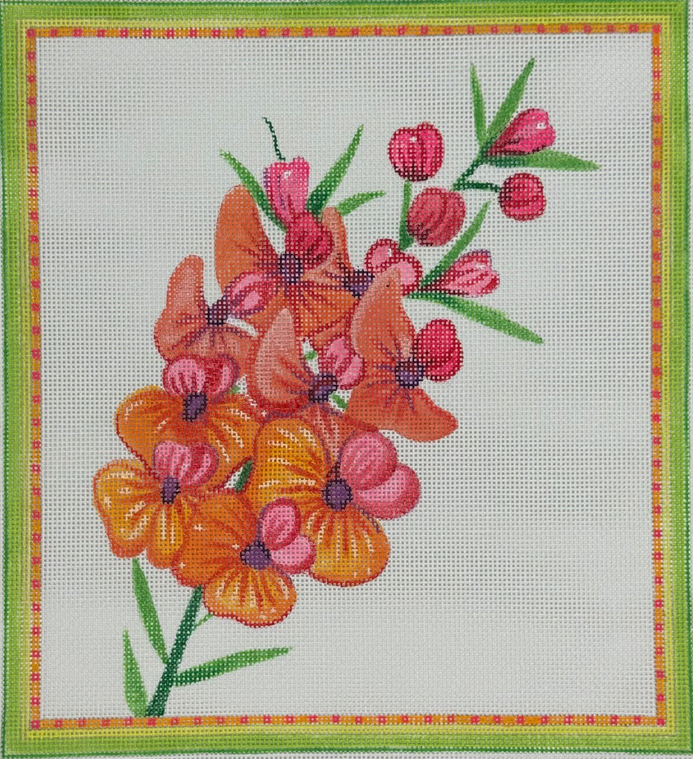 Gorse Bitter Pea