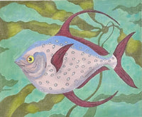 Red Tail Opah
