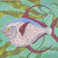 Red Tail Opah