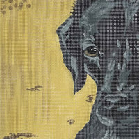 Black Lab, Yellow Background