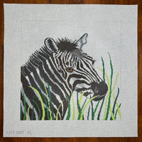 Zebra in Grass