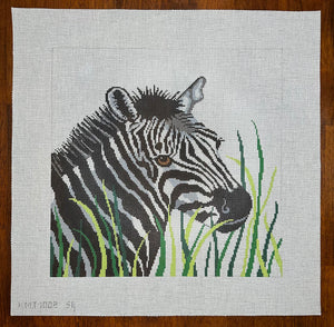 Zebra in Grass