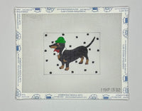 Dillard Dachshund
