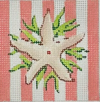 Starfish Square
