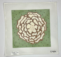 Cream Camellia
