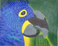 Small Parrot
