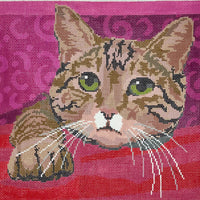 Tiger Cat Large 13ct