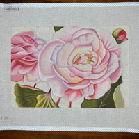 Pink Roses