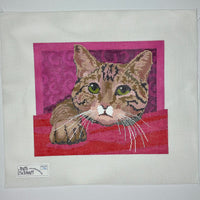 Tiger Cat Medium