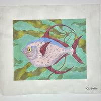 Red Tail Opah