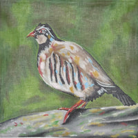 Pursell Bird