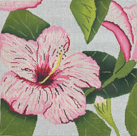 Hibiscus
