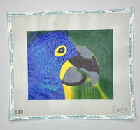 Small Parrot
