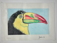 Toucan
