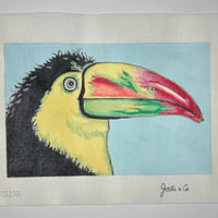Toucan