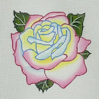 Light Blue, Yellow, Pink Rose