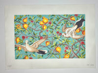 Two Birds in Orange Trees
