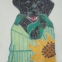 Black Labrador in Purse
