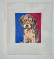 Beagle Pup
