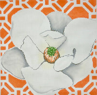 Magnolia on Tangerine
