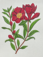 Red Flowers
