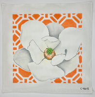 Magnolia on Tangerine
