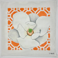 Magnolia on Tangerine