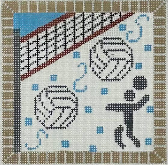 Volleyball Square